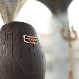 Meeting Yogishwar Mahadev (Hawan)